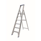 Professionele trapladder / 6 treden