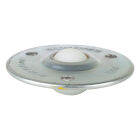 KOGELROL STAAL/NYLON DIAM 29.5/61MMHOOGTE 22MM 25KG