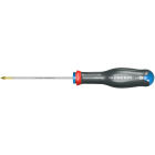 SCHROEVENDRAAIER PROT2 PZ 1X100