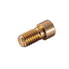 Cabineo 8 M6 schroef (500 stuks)