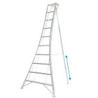 DRIEPUNTSLADDER VULTUR GMF 300CMALUMINIUM