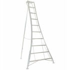 DRIEPUNTSLADDER VULTUR HPM 300CMALUMINIUM
